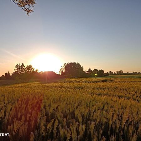 Herrenhaus Harmshagen Testorf-Steinfort Bagian luar foto