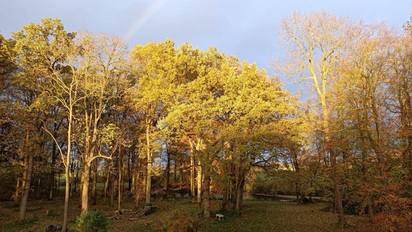 Herrenhaus Harmshagen Testorf-Steinfort Bagian luar foto